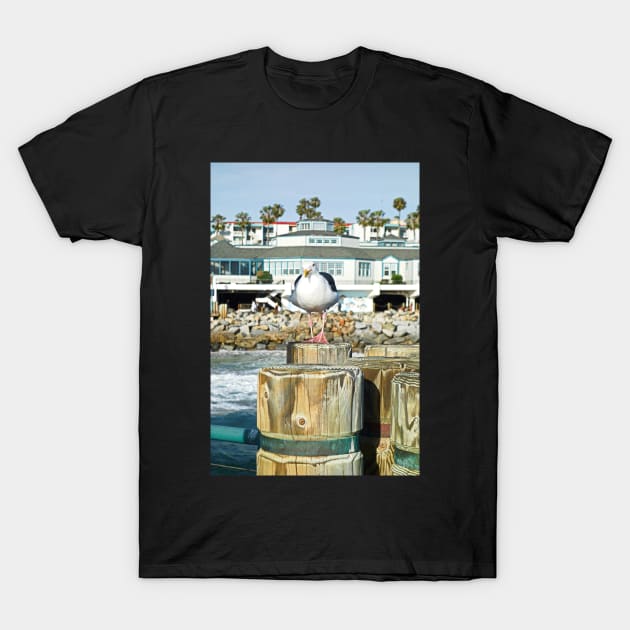 Redondo Beach Pier with Attitude T-Shirt by bobmeyers